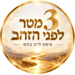 3 מטר לפני הזהב · אימון לייב בזום